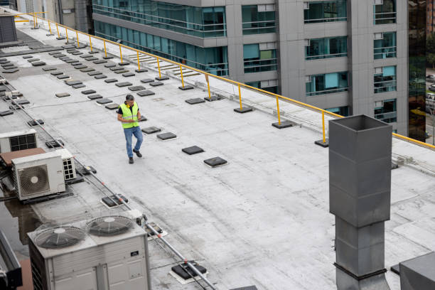 Best Skylight Installation and Repair  in Sacaton, AZ